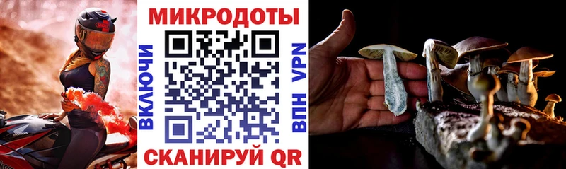 Псилоцибиновые грибы Psilocybine cubensis  OMG ССЫЛКА  Конаково 